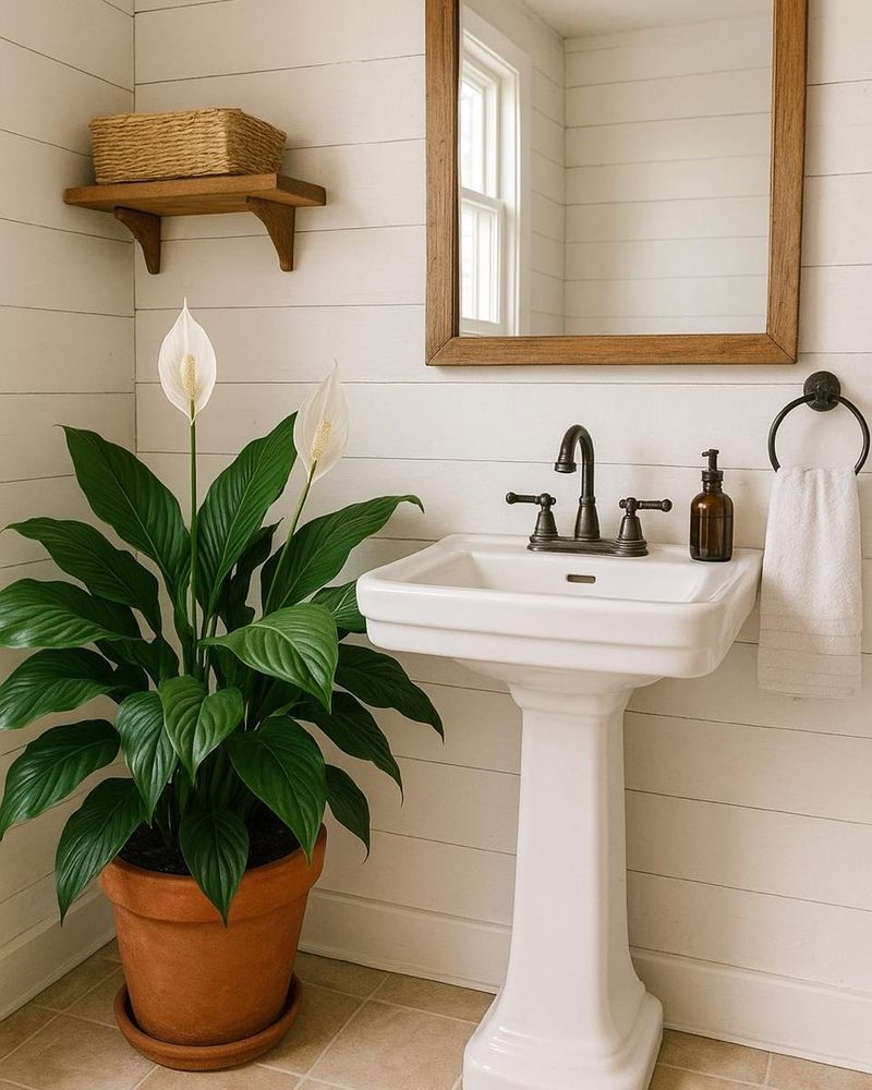 The Bathroom for Moisture Balance