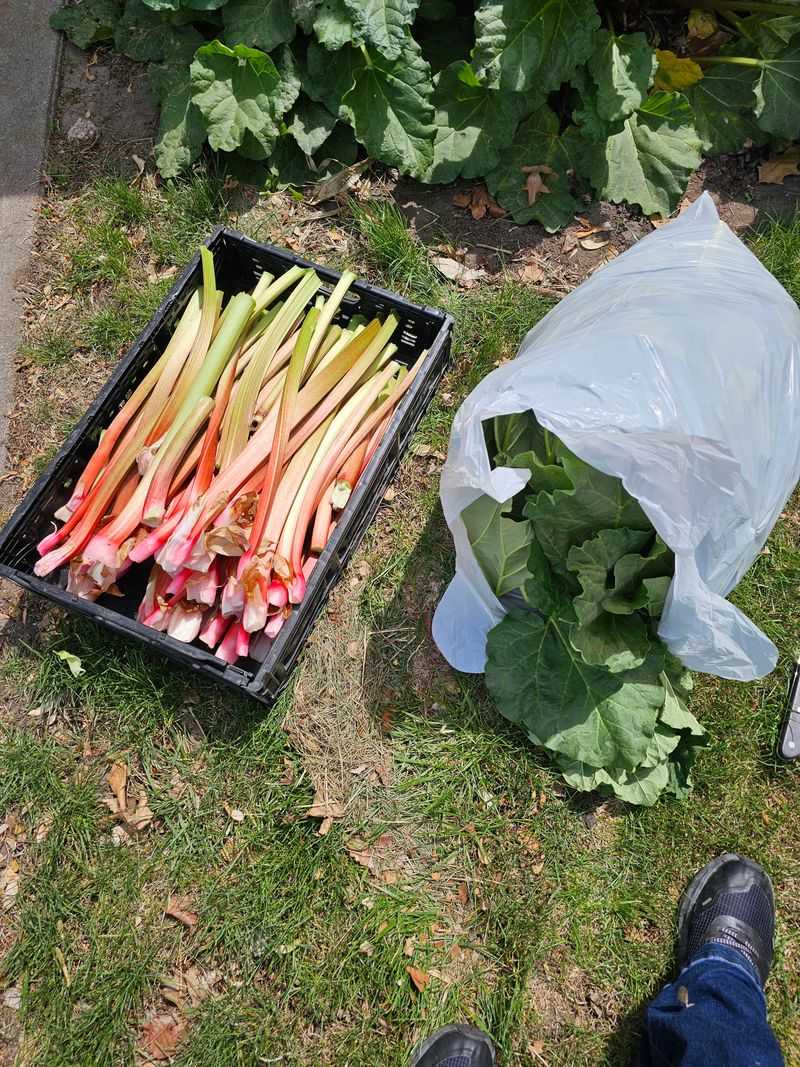 Seasonal Timing That Supports Healthy Development