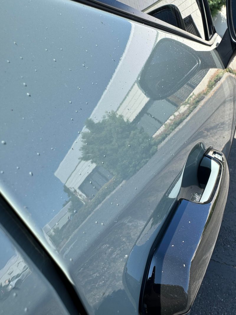 Why Leaves, Cars, And Patios Get Covered