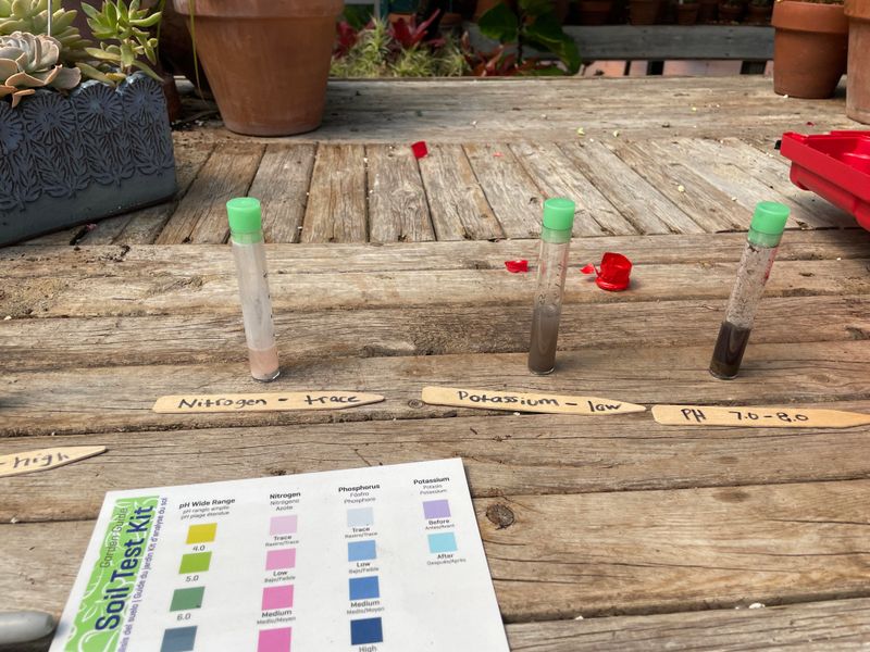 Ignoring Soil Testing Before Spring Planting