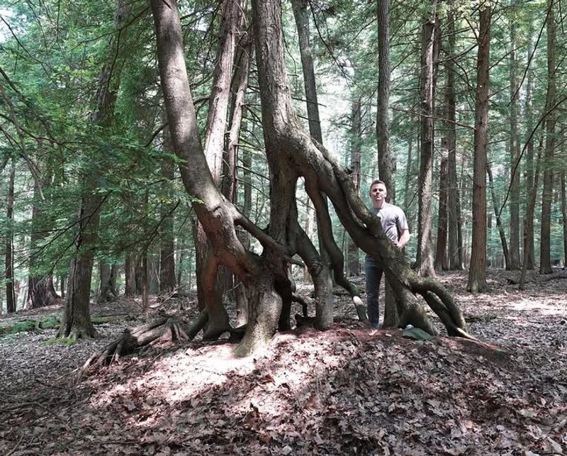 Proof Of Prior Knowledge Is Critical