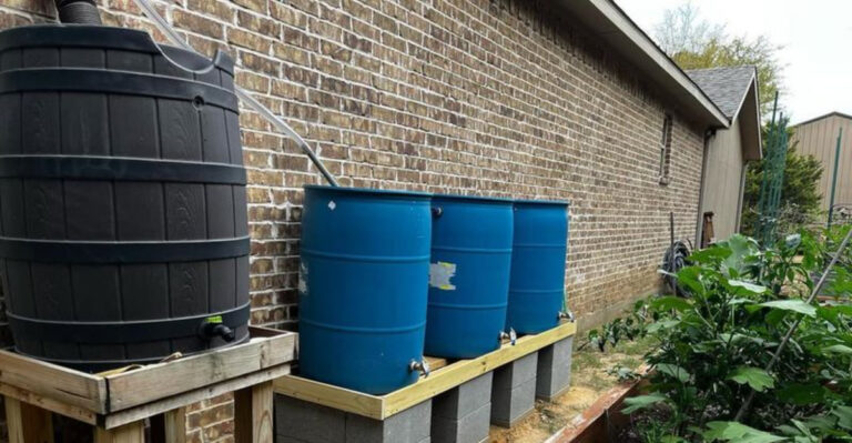 rain barrel (featured image)