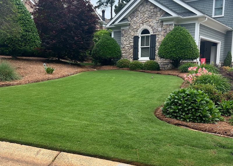 Bermuda Grass Lawns