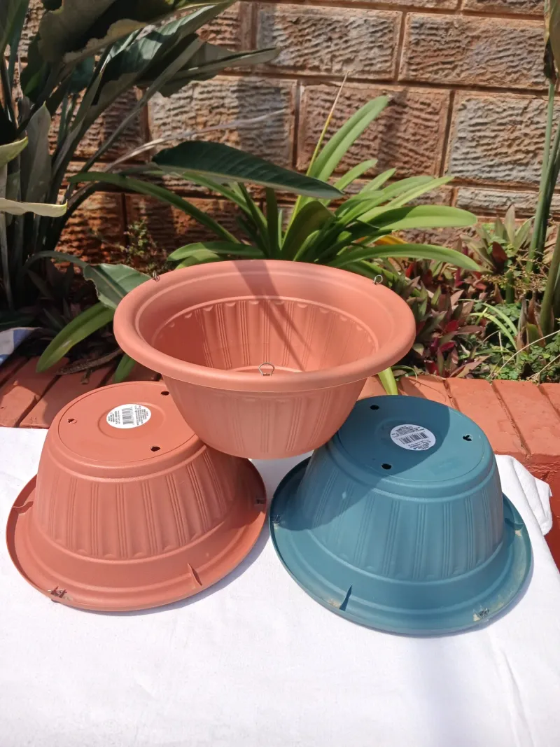 Choose The Right Pot Size And Drainage First