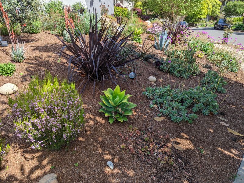 Why Homeowners Are Rethinking Traditional Lawn Spaces