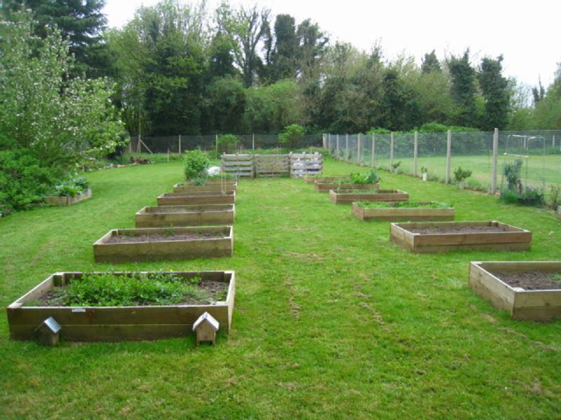 Vegetables That Perform Best In Florida Raised Beds