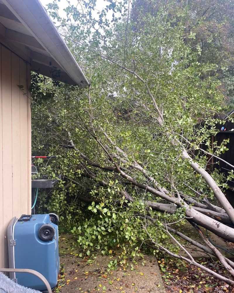 Negligence Changes Everything