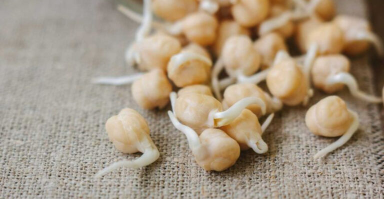 pre-sprouting method