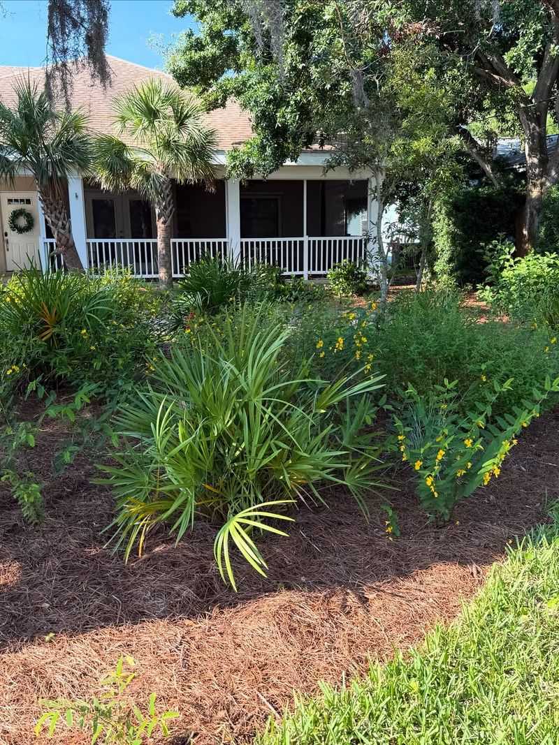 Why Bare Soil Struggles In Florida