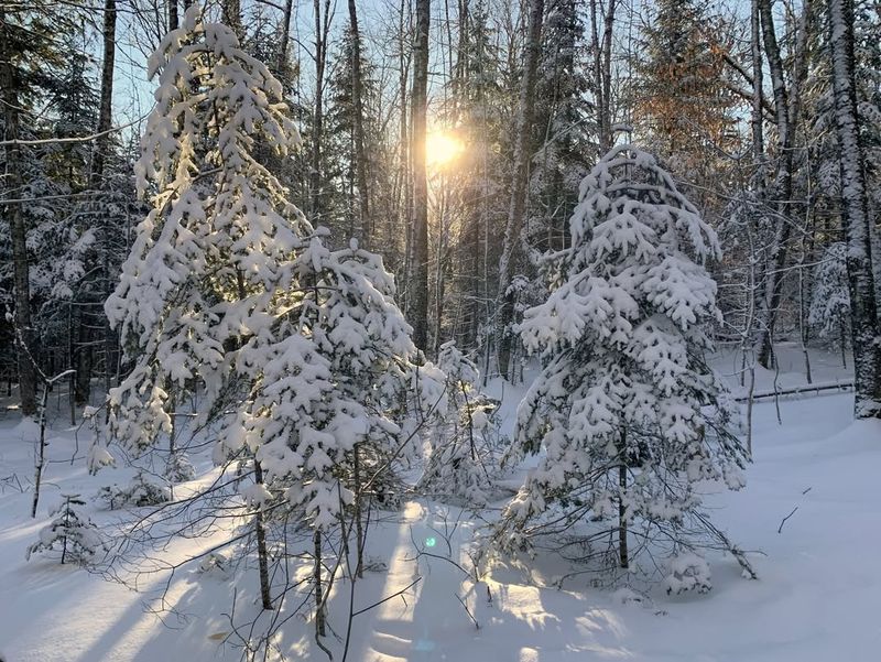 Snow Cover Provides Insulation That Makes Activity Possible