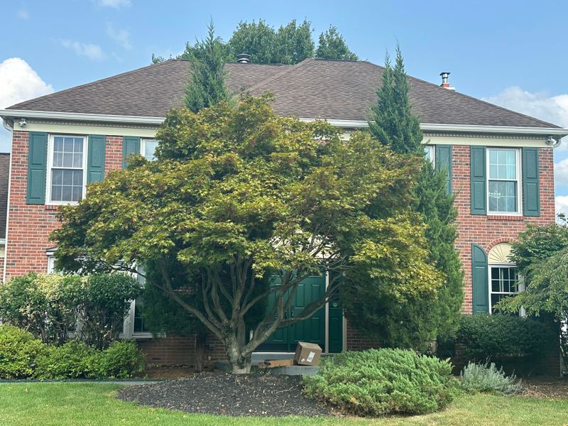 Plants Pressed Too Close To The House