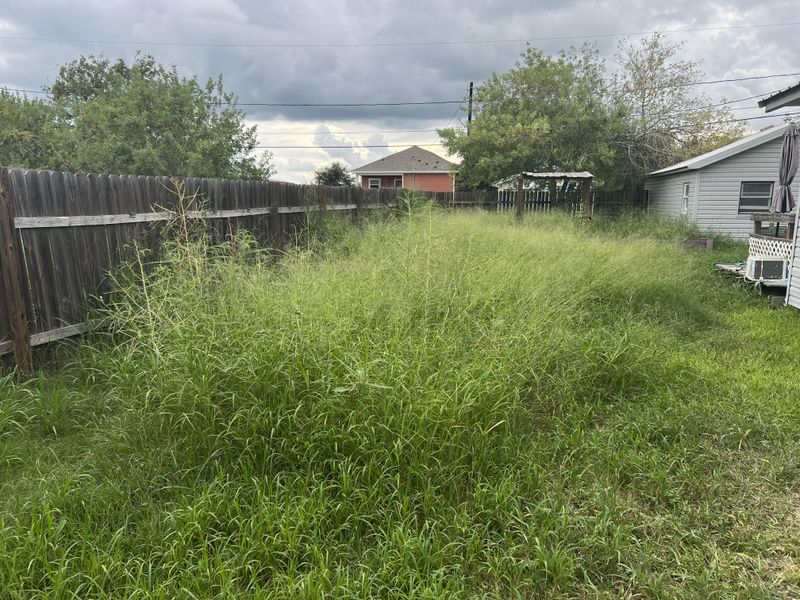 Overgrown Weeds And Tall Grass