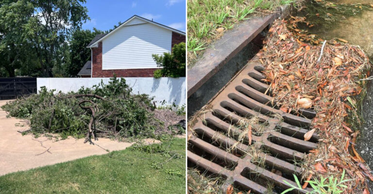 These 10 Garden Habits Can Get You Fined In Oregon