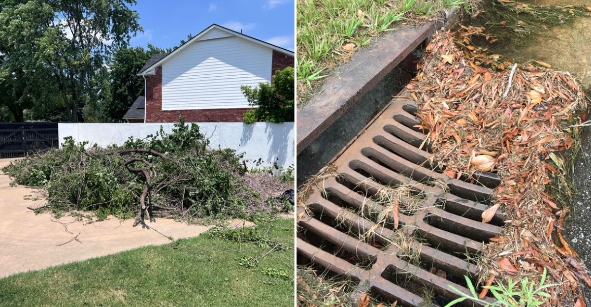 These 10 Garden Habits Can Get You Fined In Oregon