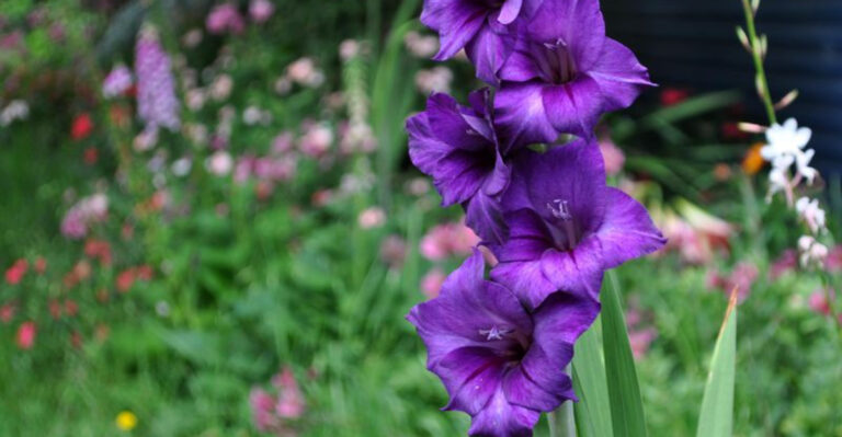 These 10 Perennials Should Wait Until Spring In Oregon