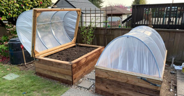 raised bed with protective cover