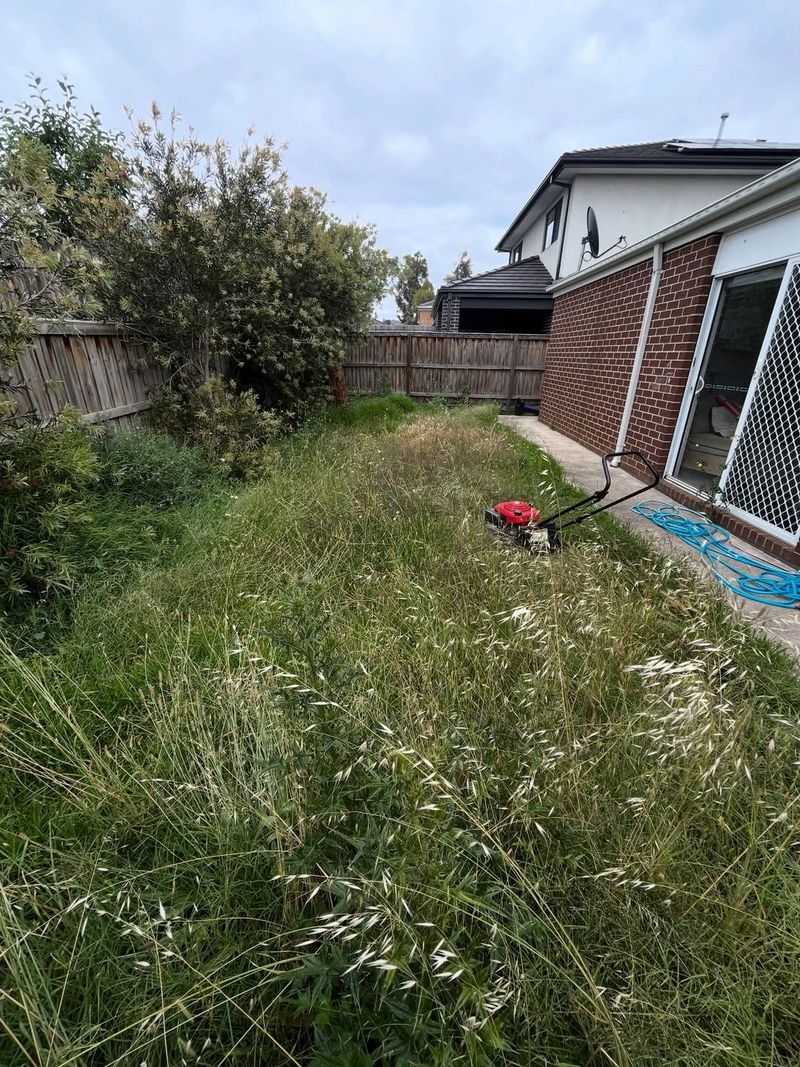 Overplanting Without Planning