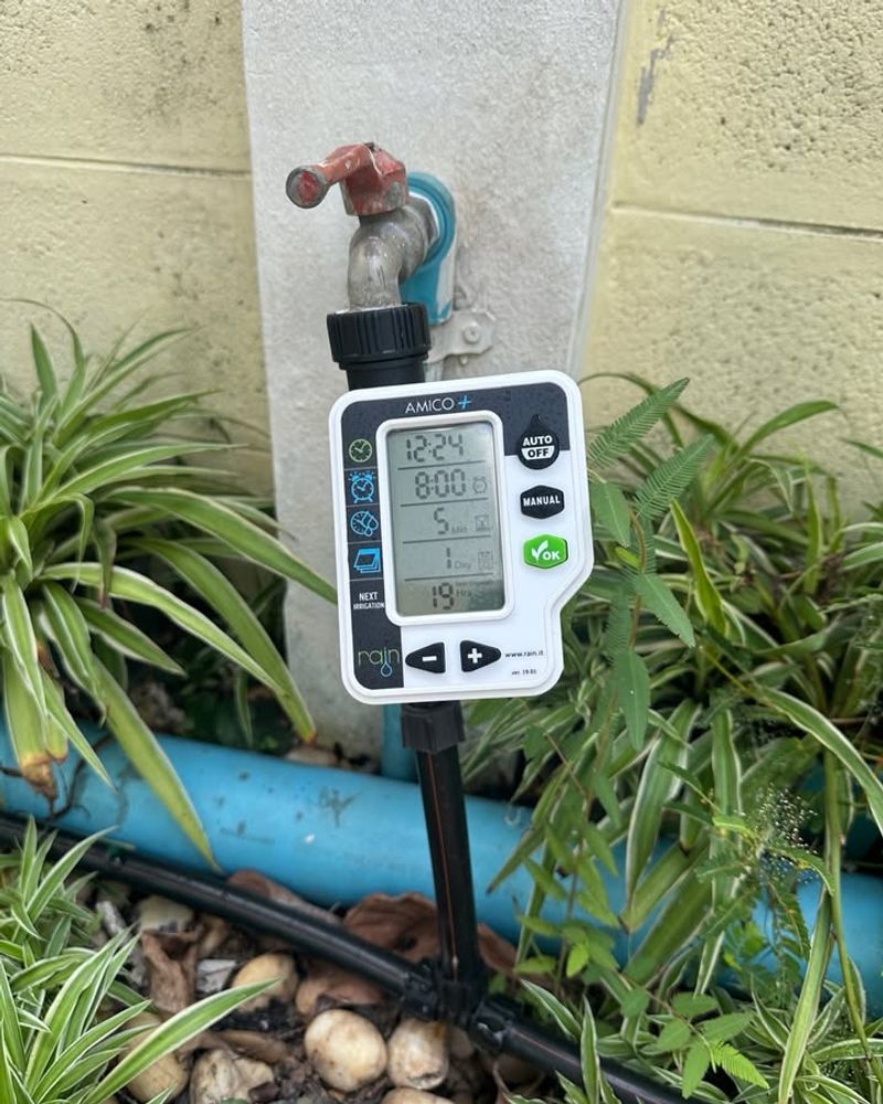 Watering On A Fixed Schedule