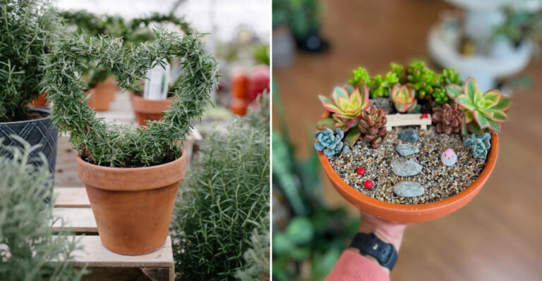 eco friendly v gifts