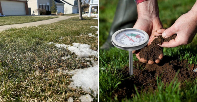 lawn snow melt and soil thermometer