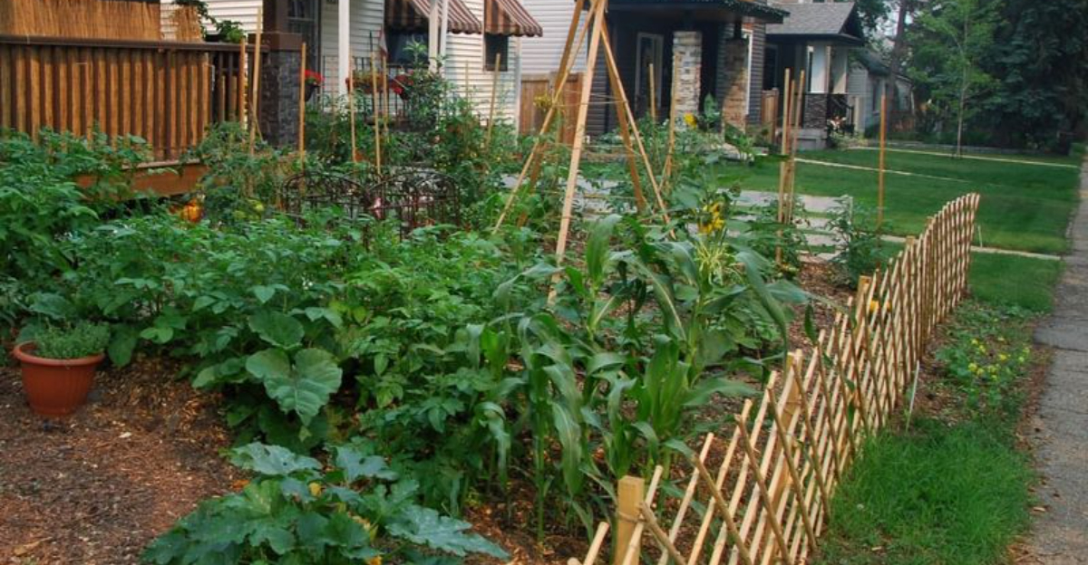 front yard garden