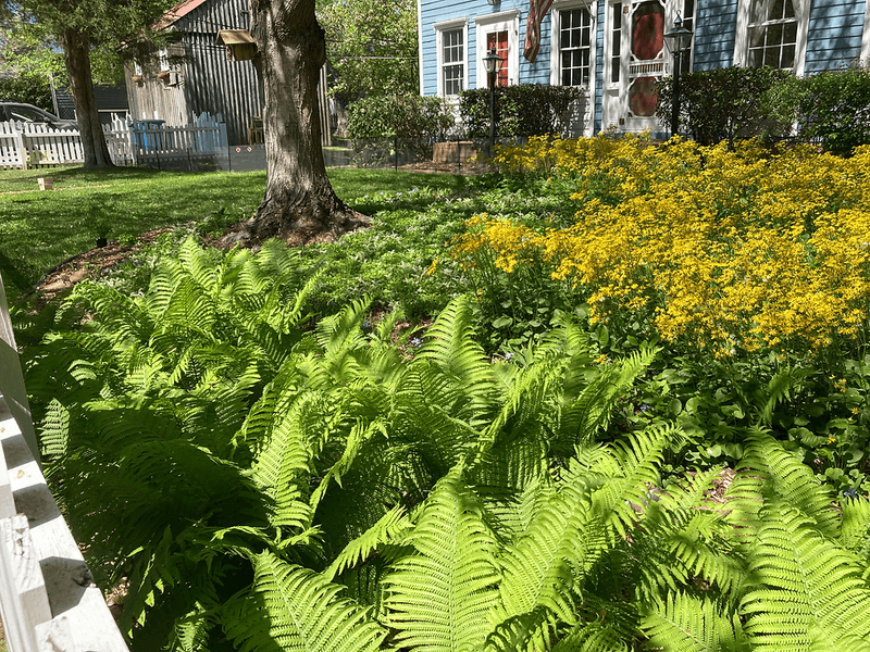 Native Gardens Increase Property Value And Curb Appeal