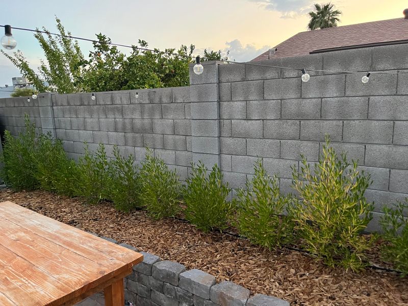 Improve Airflow In Winter Instead Of Heavy Shaping