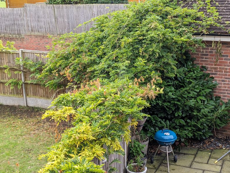 How Neighbor Concerns Often Develop