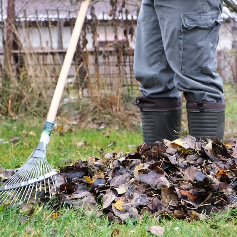 Evaluate Maintenance Requirements And Cleanup Needs