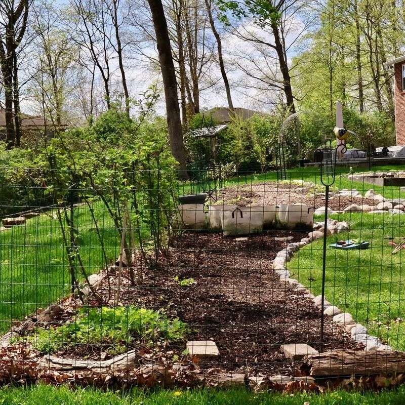Shady Mulch Beds With Hardwood Chips