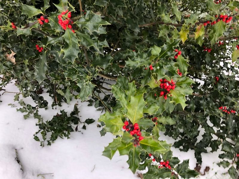 Why Central Oregon Winters Are Different From Western Oregon