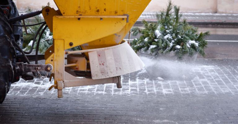 roadsalt near plants