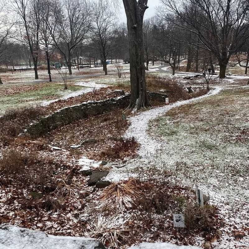 More Plants Survive Illinois' Freeze&ndash;Thaw Winters