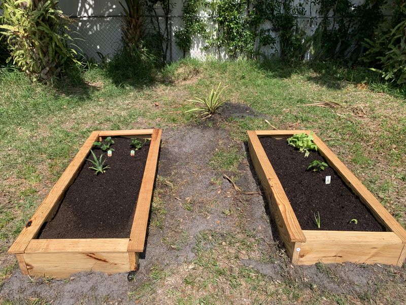 Florida Gardens Wake Up Long Before Spring Does