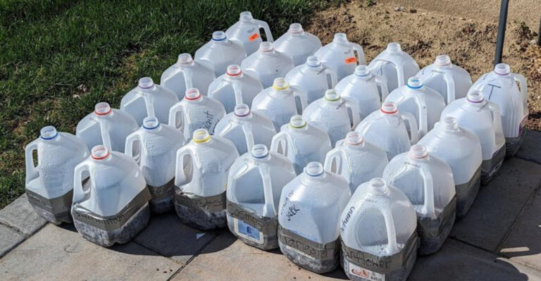 milk jugs seed starting