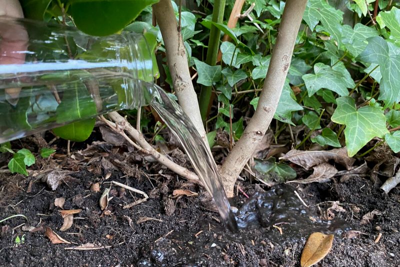 Smart Trim Zones That Drive Strong New Growth