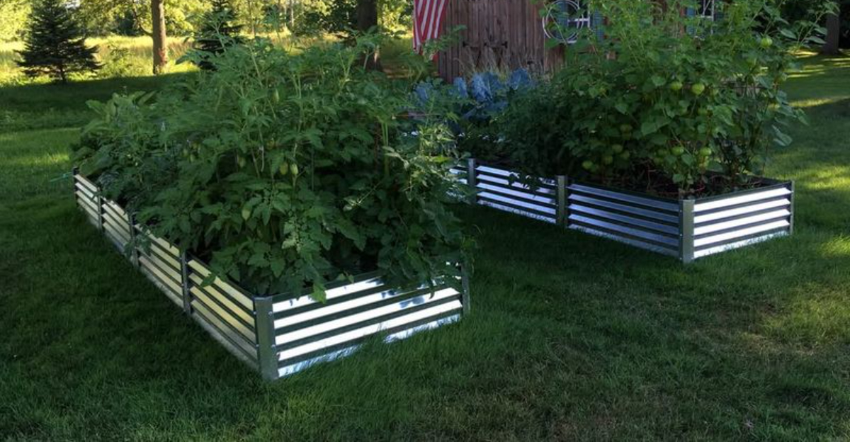 metal garden bed