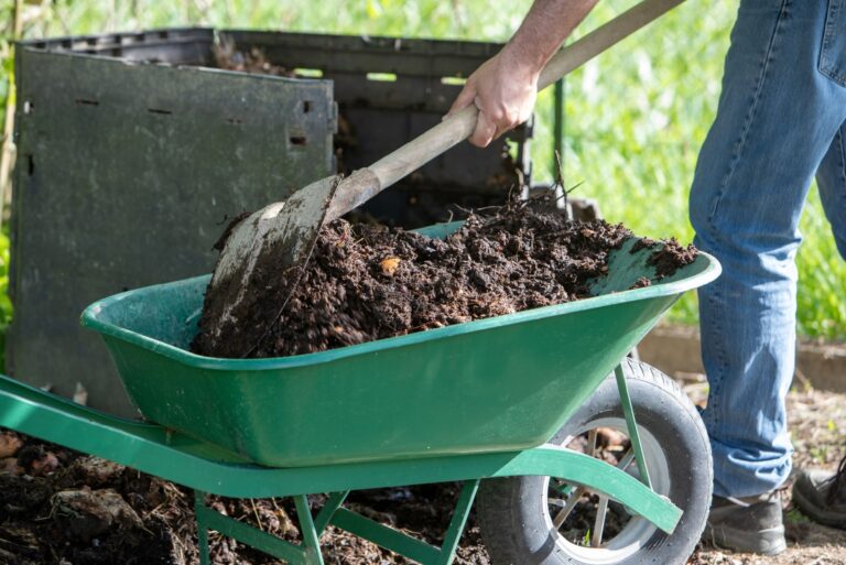 man with compost and wheelbarrow