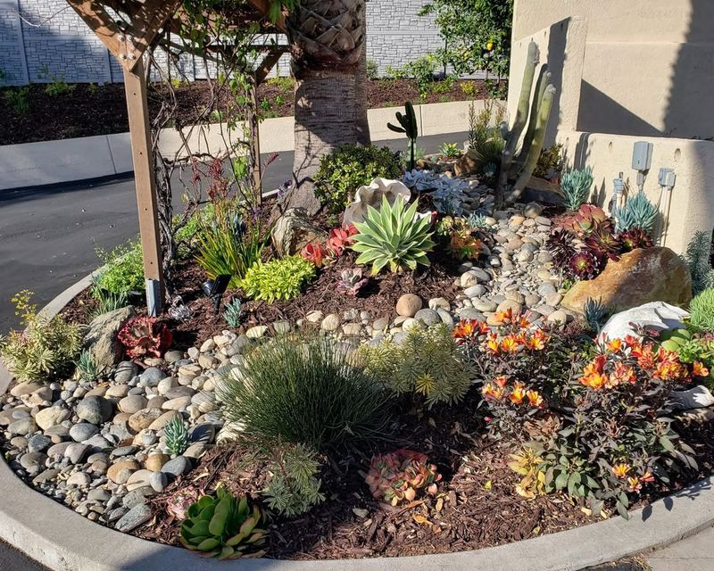 How A Simple Layer Can Transform Your Texas Garden