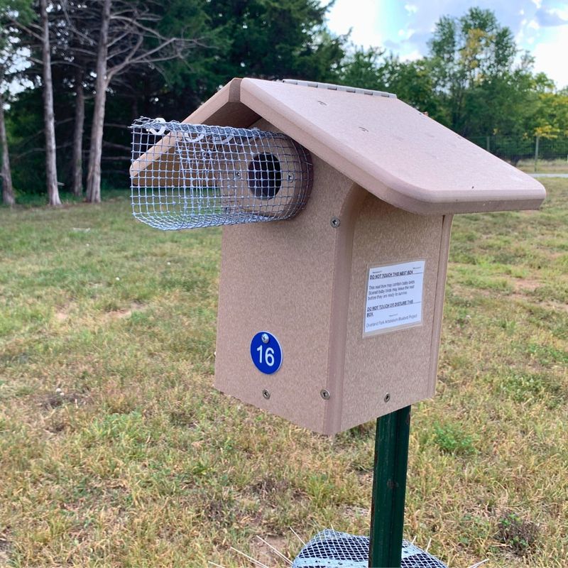 Provide Nesting Boxes With Predator Guards