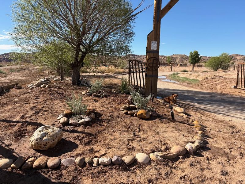Improving Soil Conditions That Discourage Tumbleweed Return