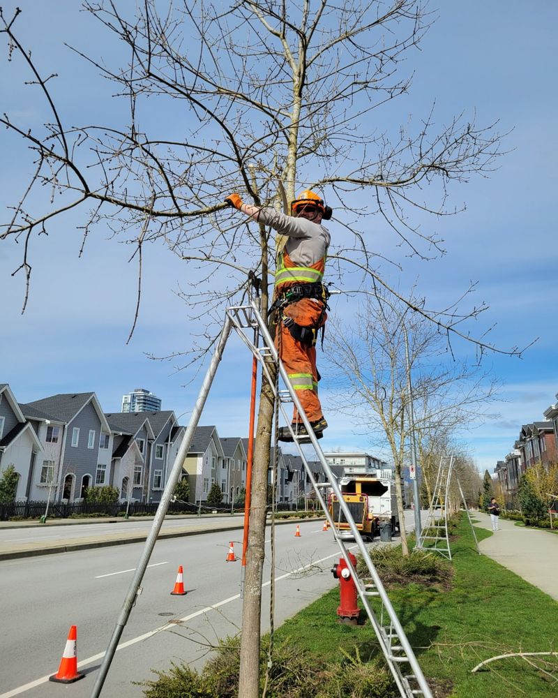 Professional Help Reduces Risk