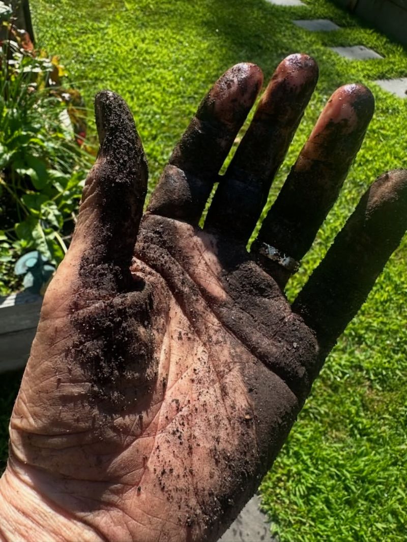 Hand and Skin Cleaner After Gardening