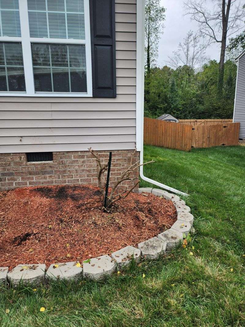 What To Do After Pruning To Boost Blooms