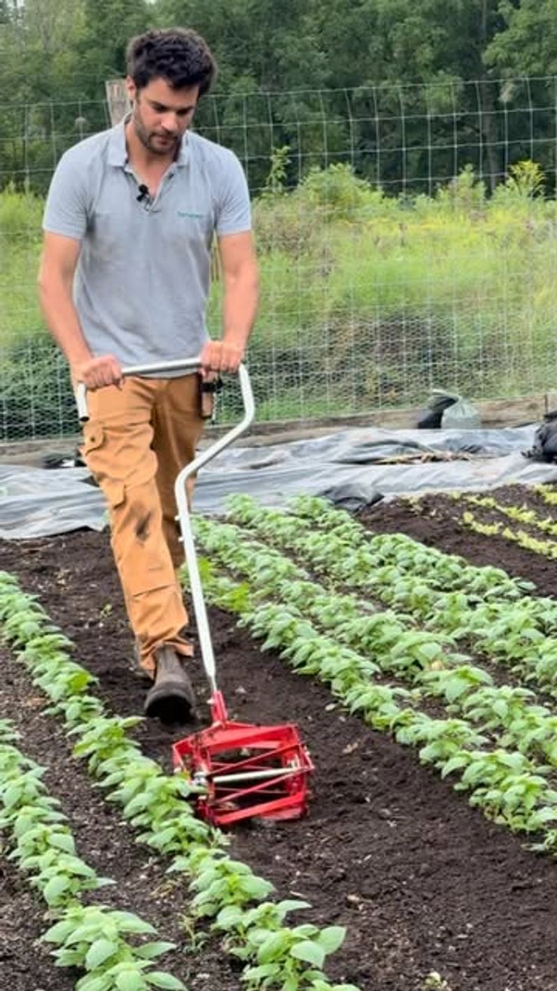 You Must Till Soil Every Spring For Healthy Plants