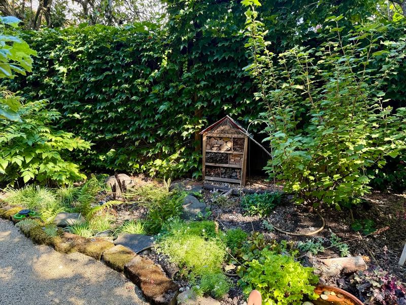 Native Plants & Wildlife Gardens