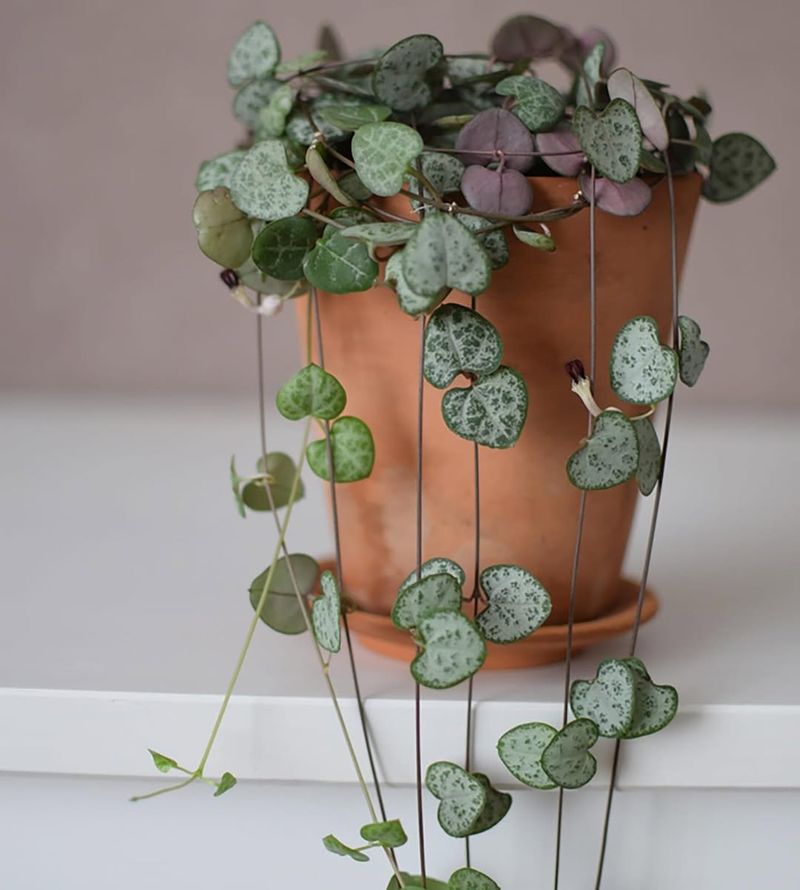 String Of Hearts