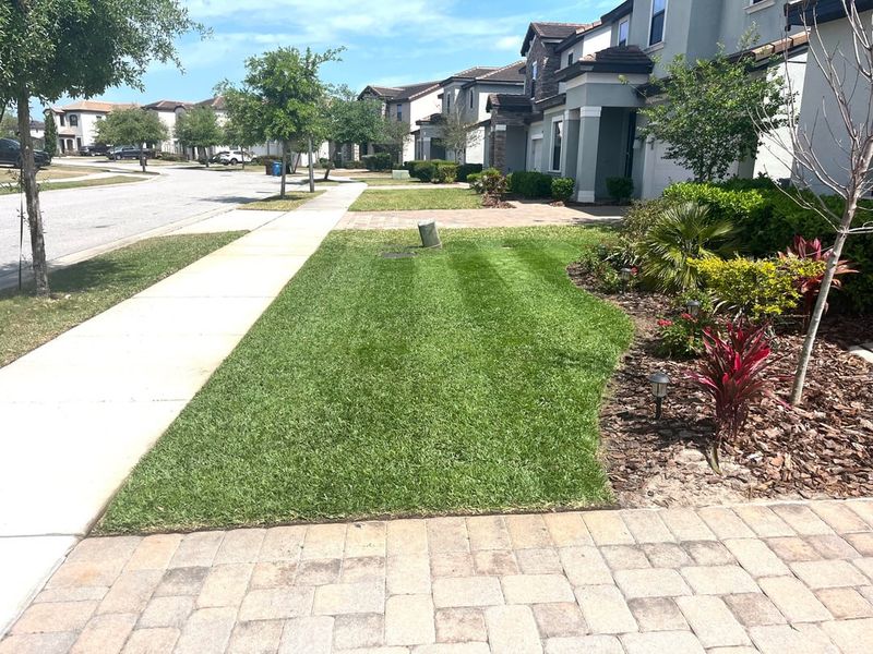 Neighborhood Rules Affect What Homeowners Can Grow