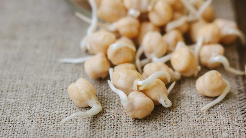 Avoiding Common Pre-Sprouting Mistakes