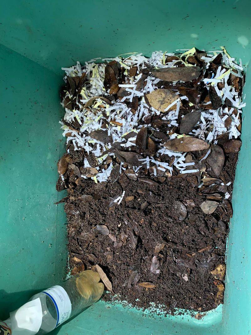 Glossy Or Coated Paper